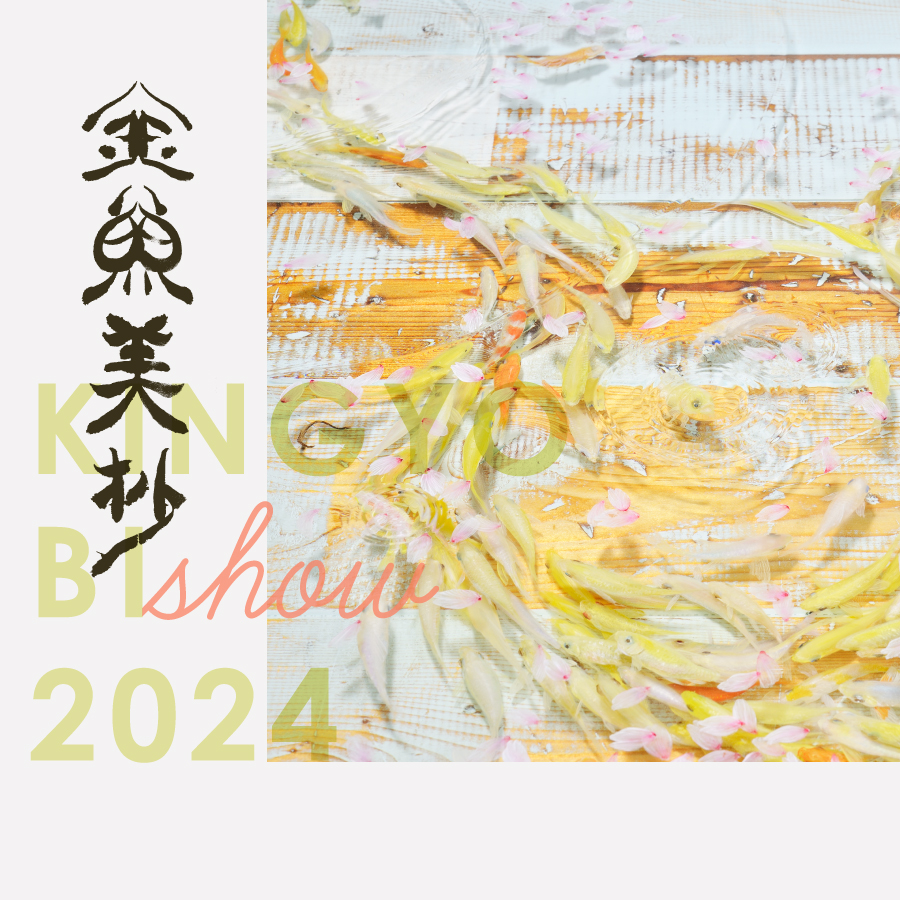 金魚美抄2024